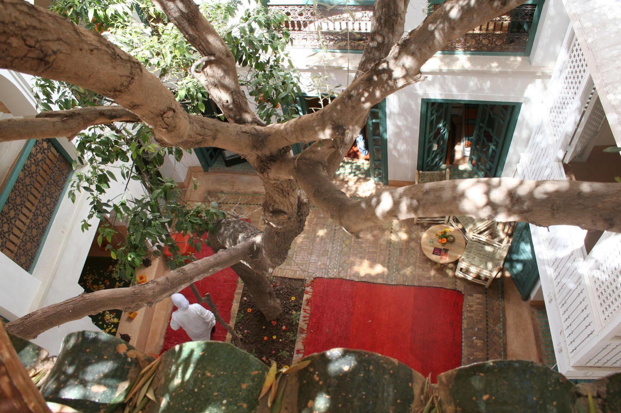 Riad Dar Zitouna En Exclusivite Marrakesh Ngoại thất bức ảnh